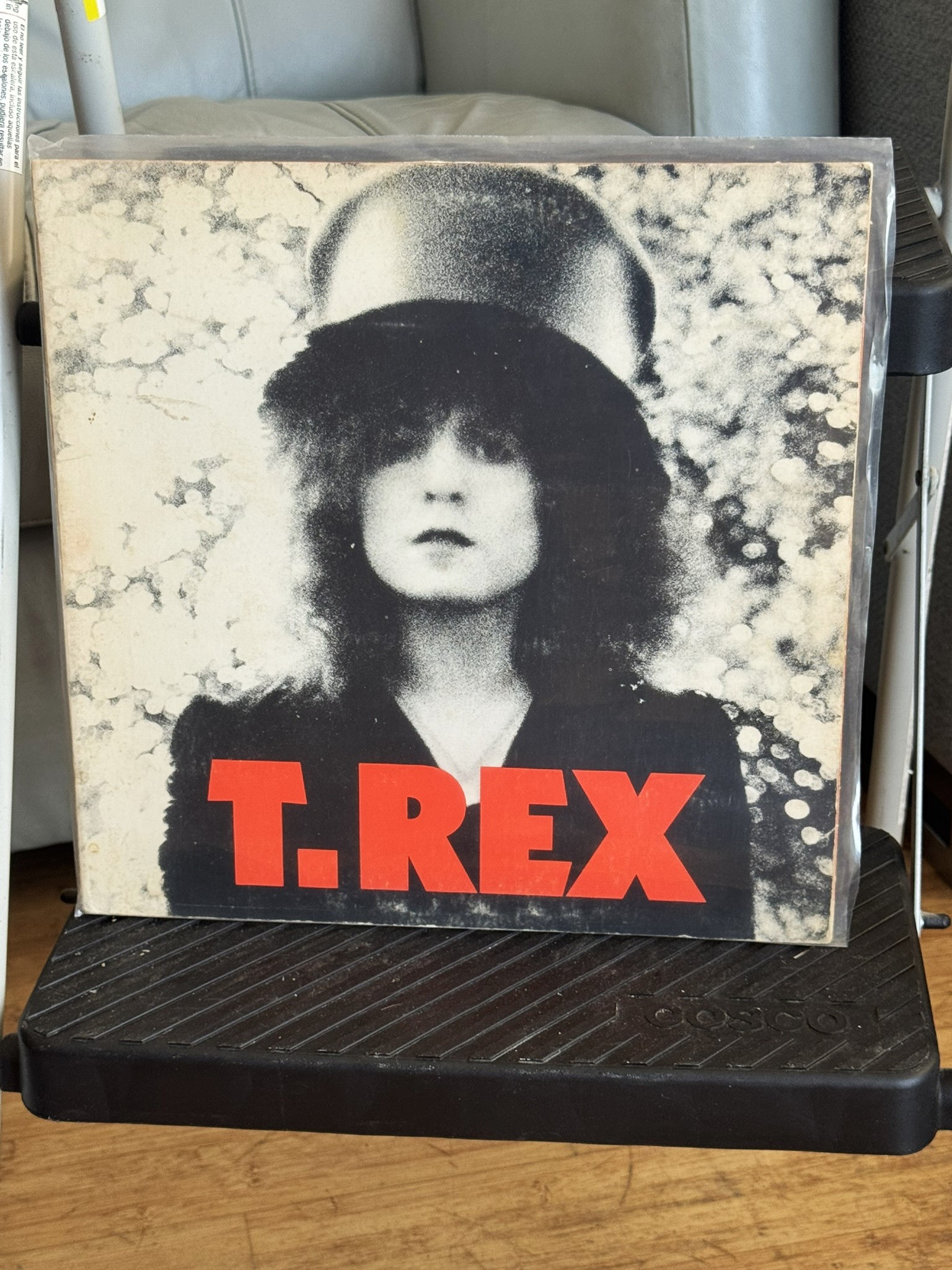 T. Rex